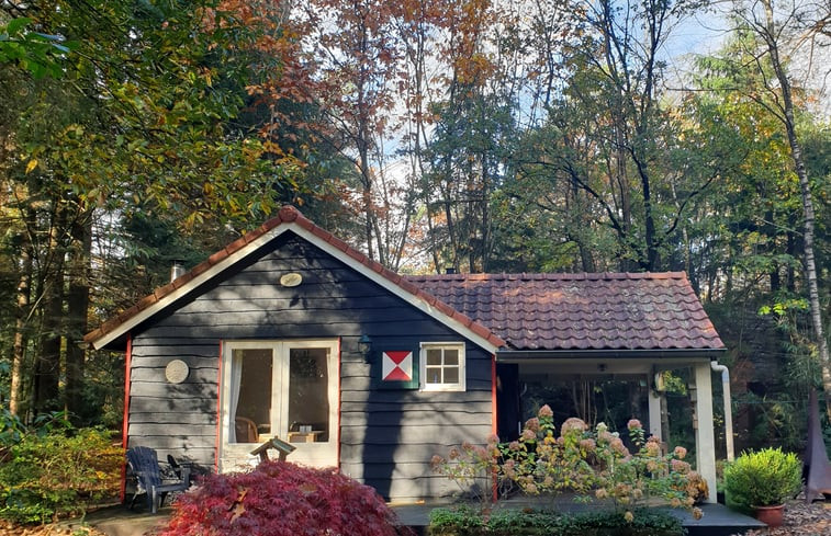 Natuurhuisje in Emst