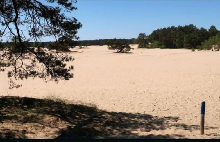 Natuurhuisje in Doornspijk