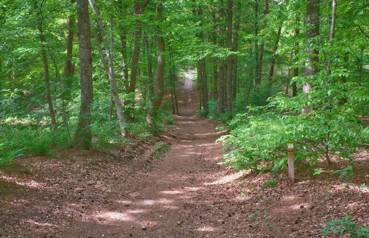 Natuurhuisje in Leersum