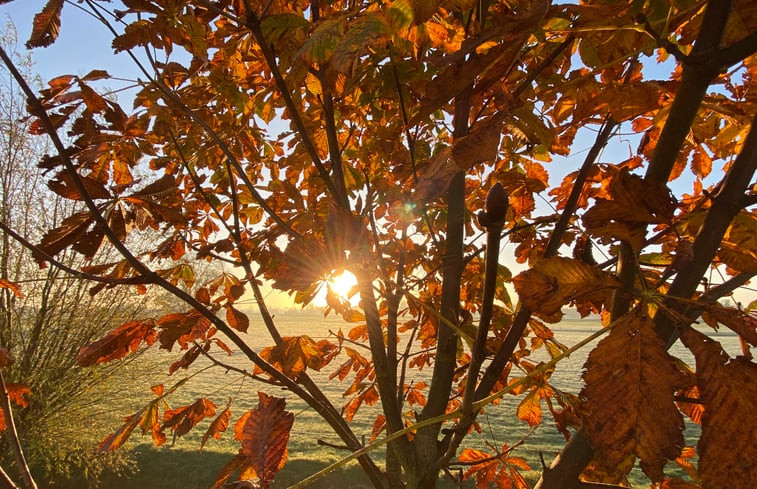 Natuurhuisje in Poederoijen