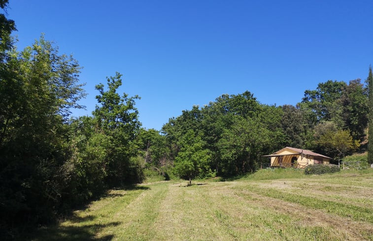 Natuurhuisje in Montescudaio