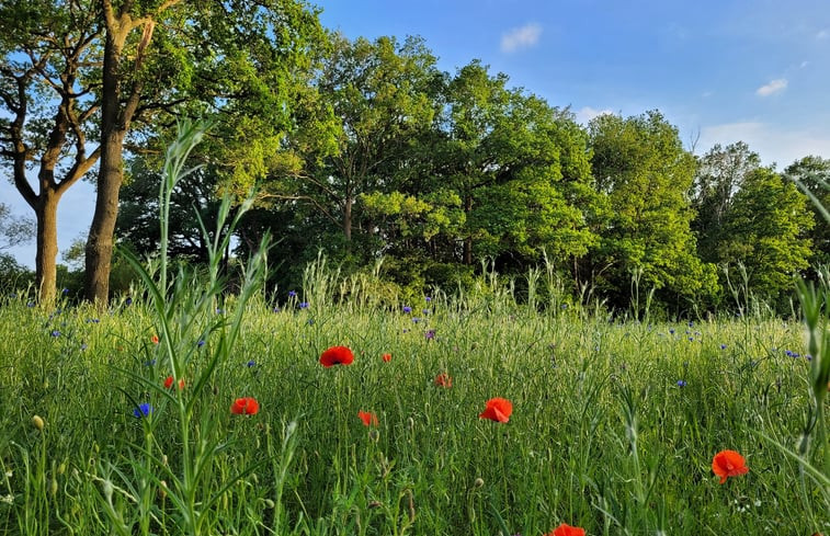 Natuurhuisje in Ruurlo