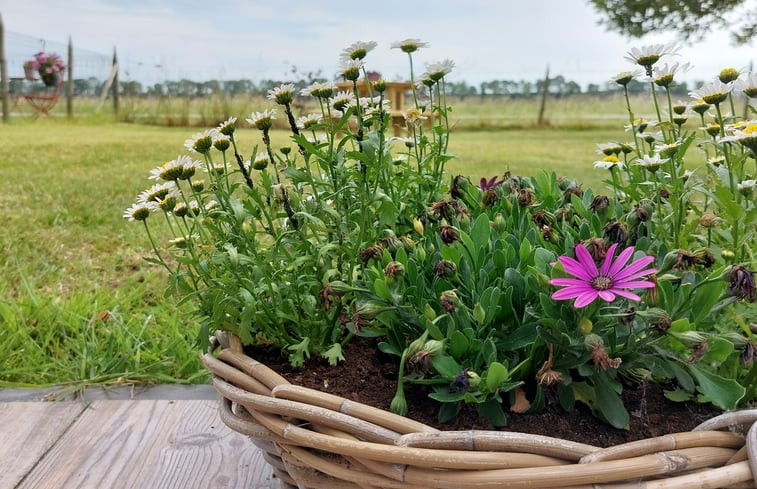 Natuurhuisje in Hoek