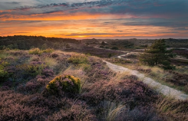 Natuurhuisje in Egmond aan den Hoef