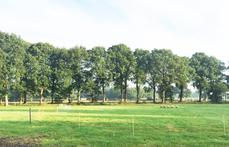 Natuurhuisje in Ruinen