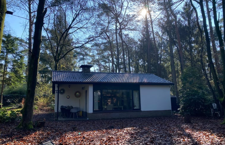 Natuurhuisje in Baarn