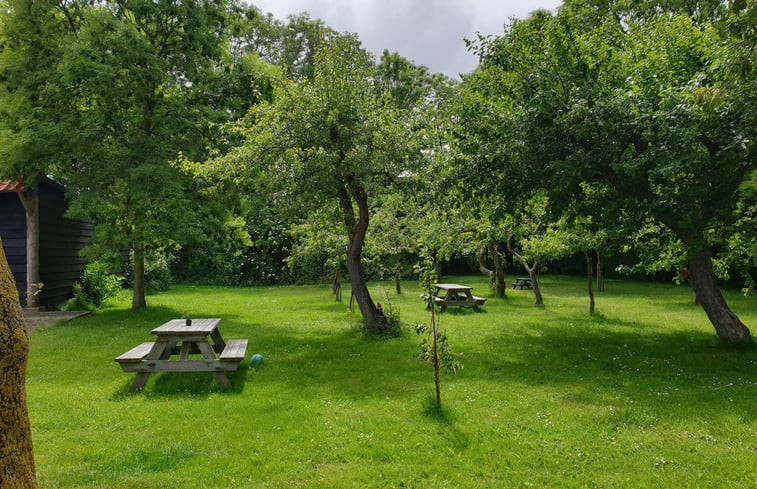 Natuurhuisje in De Cocksdorp