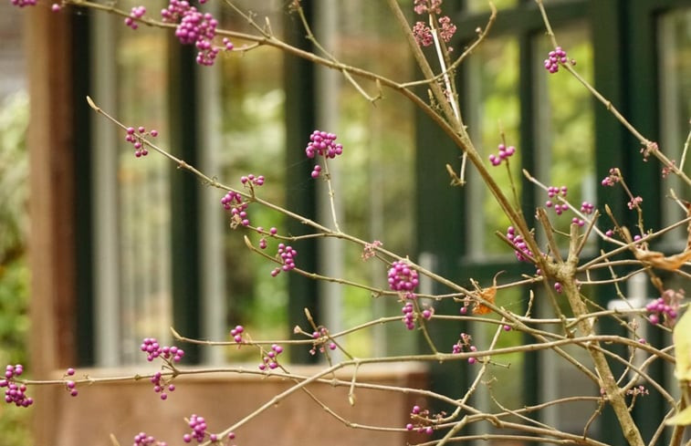 Natuurhuisje in Berg en Dal