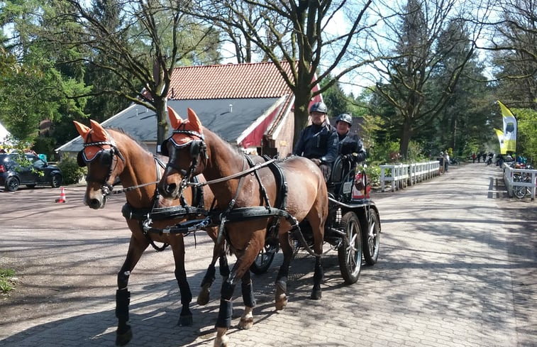 Natuurhuisje in Winterswijk