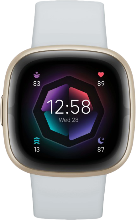 Fitbit Sense 2 Goud/Blauw