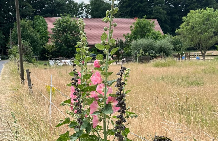 Natuurhuisje in Saerbeck