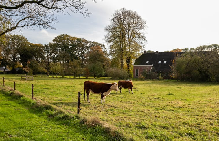 Natuurhuisje in Valthe