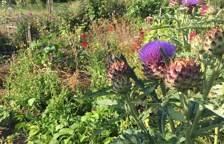 Natuurhuisje in Woudenberg