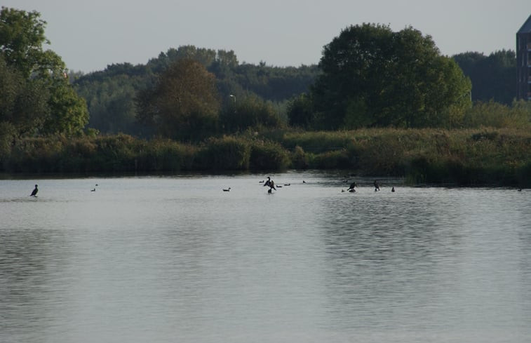 Natuurhuisje in IJsselmuiden