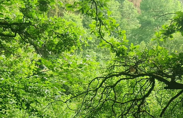 Natuurhuisje in Hatzfeld