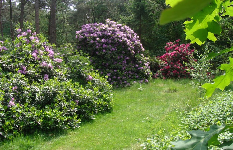 Natuurhuisje in Drunen