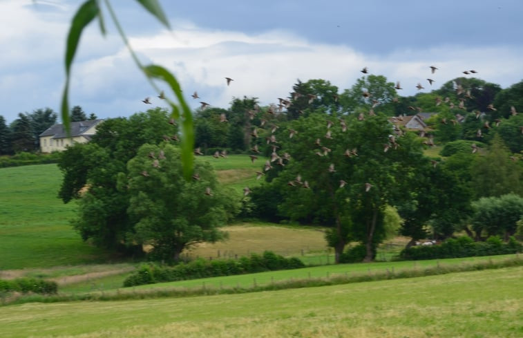 Natuurhuisje in Mechelen