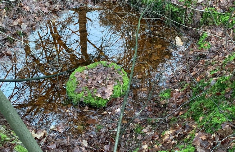 Natuurhuisje in Harfsen