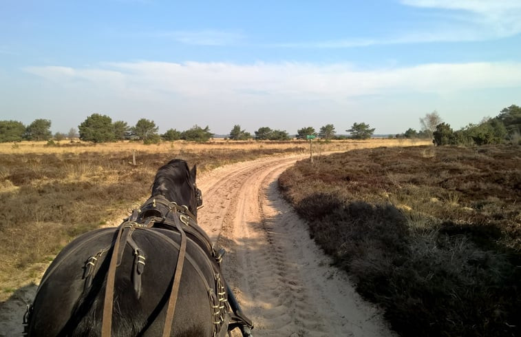 Natuurhuisje in Ruinen