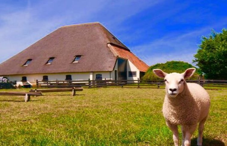 Natuurhuisje in Den Hoorn Texel