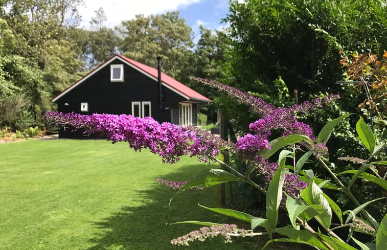 Natuurhuisje in Egmond aan den Hoef