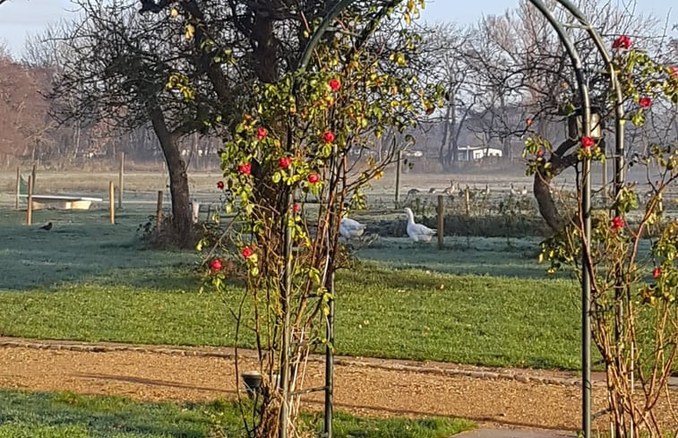 Natuurhuisje in Renesse