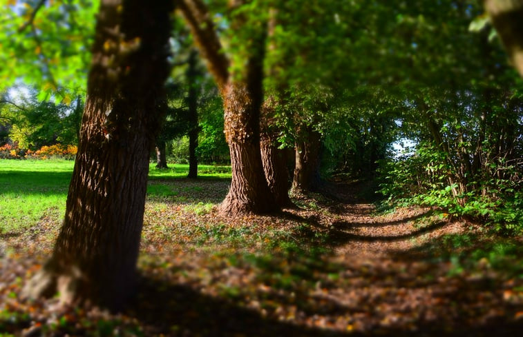 Natuurhuisje in Wodecq