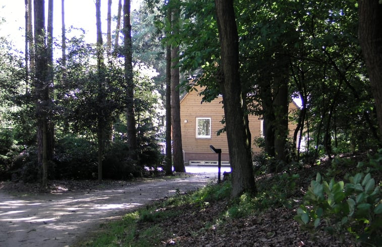 Natuurhuisje in Luyksgestel