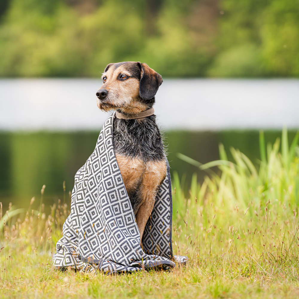 Labbvenn Hondenhanddoek Linaa, grijs-wit