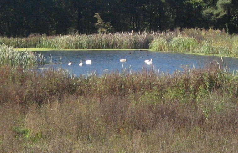 Natuurhuisje in Diepenheim