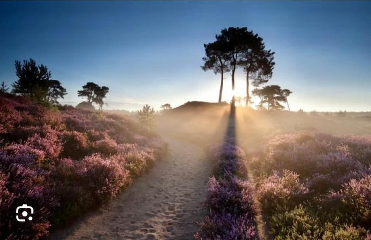 Natuurhuisje in Dwingeloo