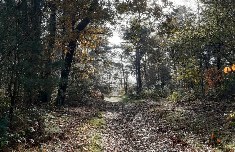 Natuurhuisje in Lomm