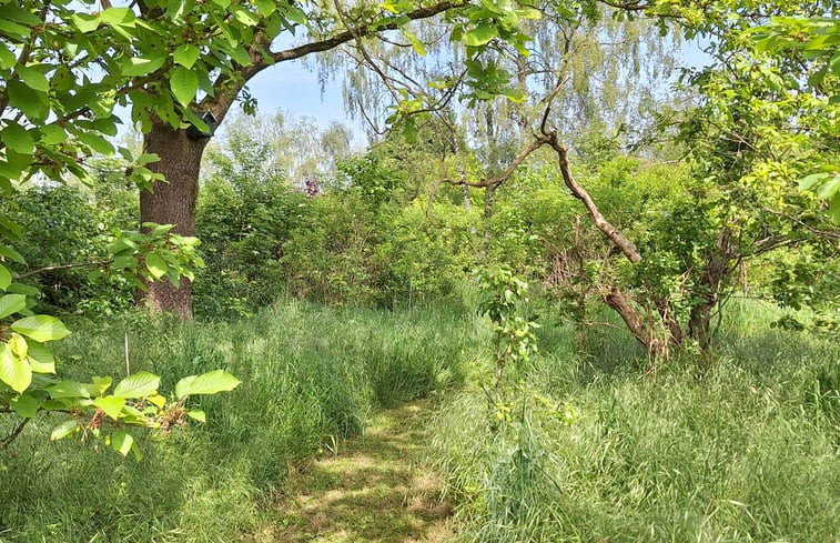 Natuurhuisje in Malden