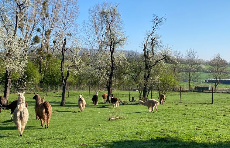 Natuurhuisje in Nideggen-Berg