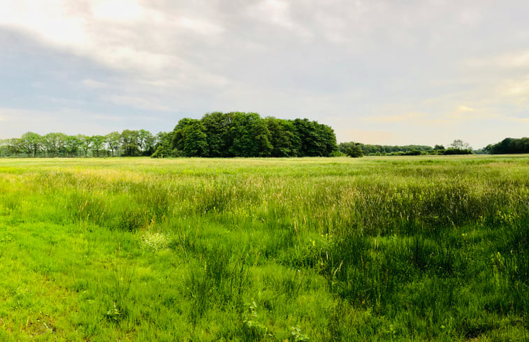 Natuurhuisje in Zeegse