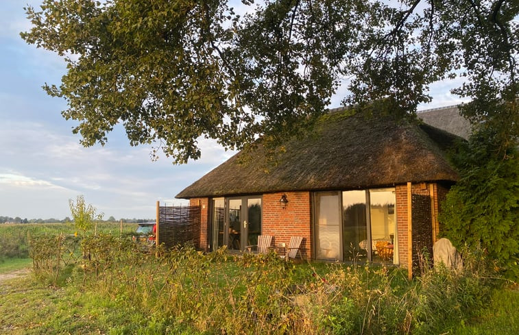 Natuurhuisje in Wijhe