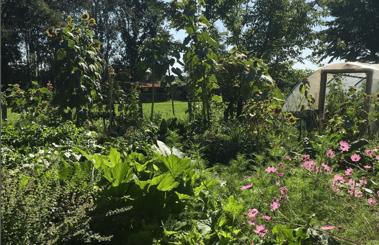 Natuurhuisje in Lommel