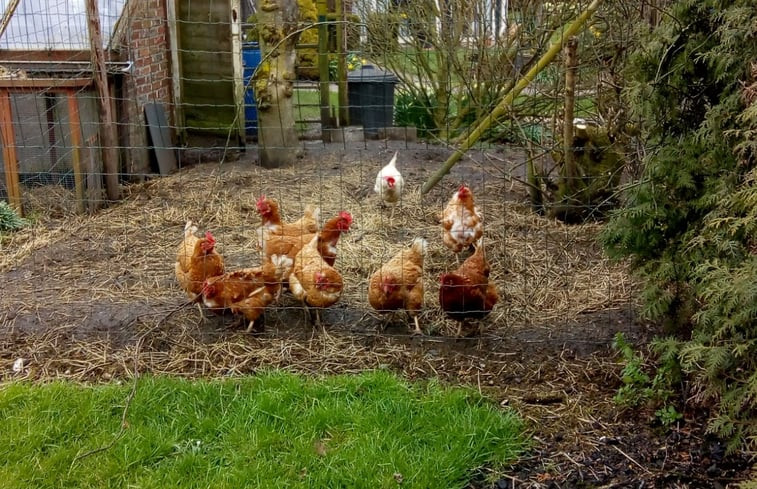 Natuurhuisje in Wemeldinge