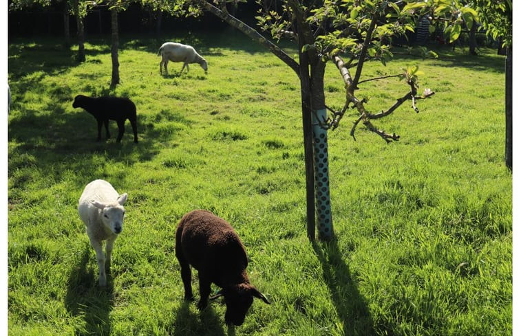 Natuurhuisje in Weesp