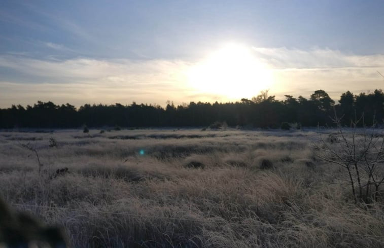 Natuurhuisje in Sint-Oedenrode