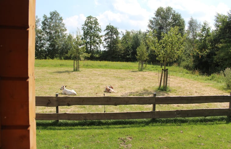 Natuurhuisje in Oldekerk