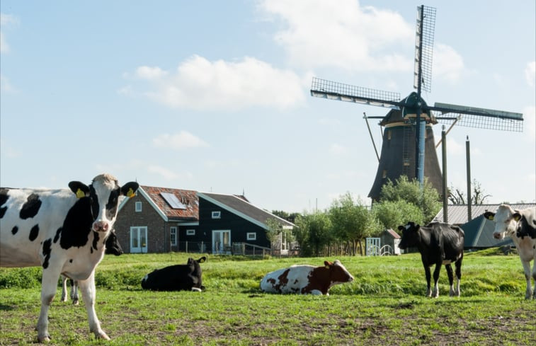 Natuurhuisje in Alphen aan den Rijn