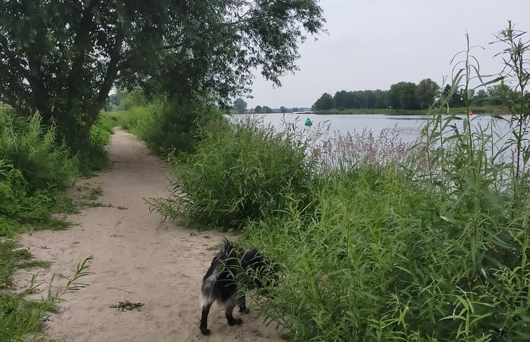 Natuurhuisje in Broekhuizen