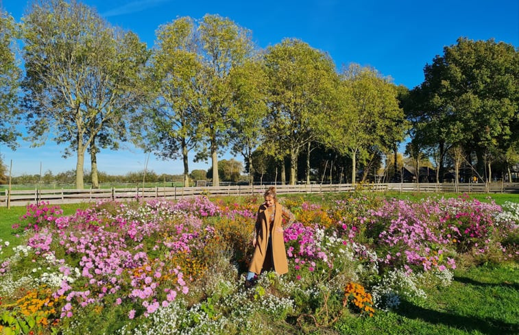 Natuurhuisje in Erp