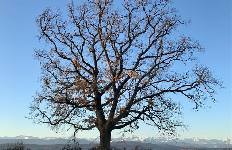 Natuurhuisje in Sieuras