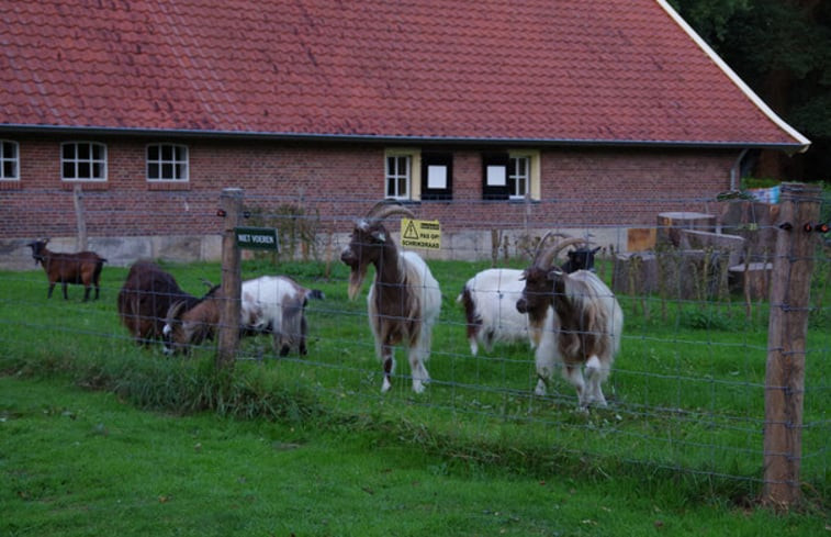 Natuurhuisje in Ambt Delden