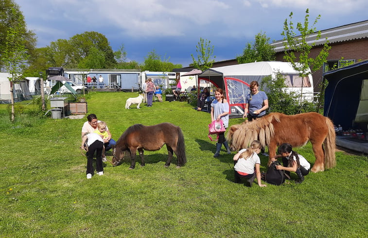 Natuurhuisje in Okkenbroek