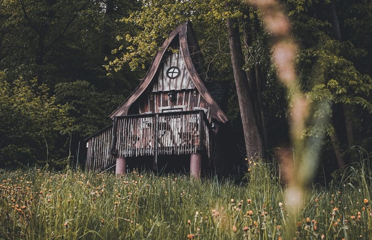 Natuurhuisje in Annweiler am Trifels