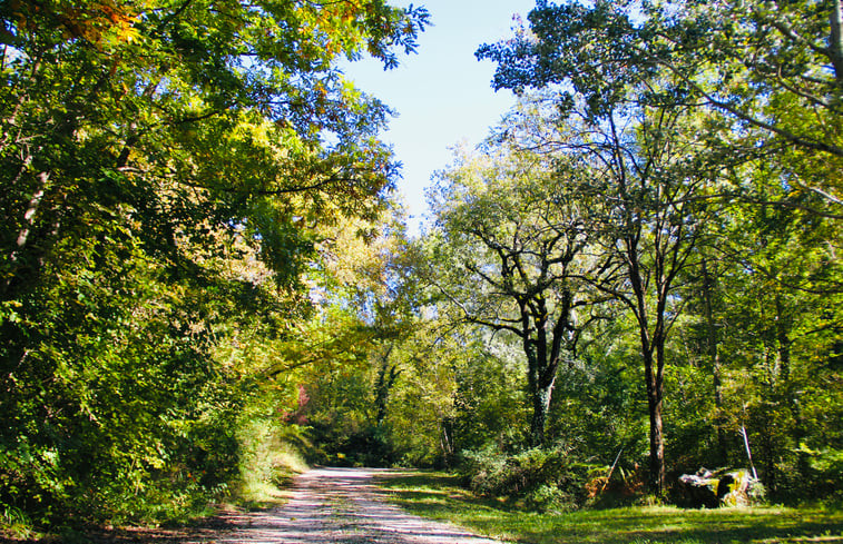 Natuurhuisje in Assisi (PG)