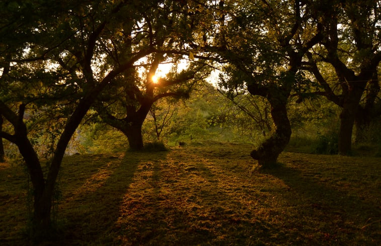 Natuurhuisje in Locorotondo